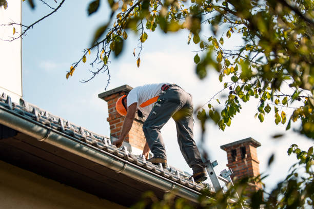 Best Commercial Roofing Services  in The Galena Territory, IL
