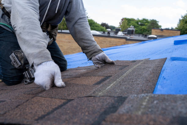 Best Roof Repair Services  in The Galena Territory, IL